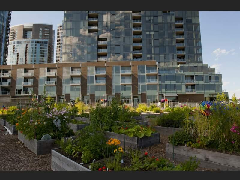Jardins communautaires à Portland, aux Etats-Unis