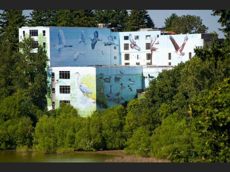 Murs peints du Portland Memorial Museum, aux Etats-Unis